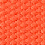 neon orange swatch